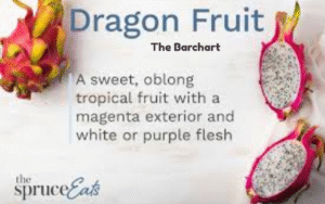 What is Dragon Fruit? An Introduction to this Exotic Superfruit