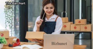 Bizhunet | Your Ultimate Solution for Online Store Management