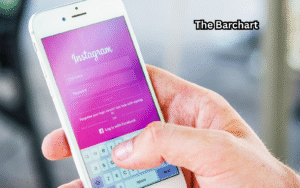 How to Use Instagram Story Viewer?