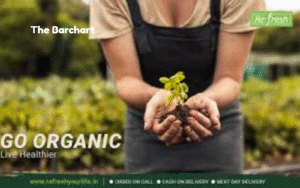 Sustainable Living: Why Organic Health Care Matters