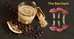 Mushroom Coffee Explained: Health Benefits, Risks, and How It’s Made