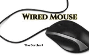 Introduction of mouse 