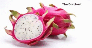 Exploring the Wonders of Dragon Fruit: A Nutrient-Packed Superfruit
