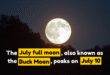 The July full moon, also known as the Buck Moon, peaks on July 10