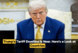 Trump’s tariff deadline is near. Here’s a look at countries that have a deal
