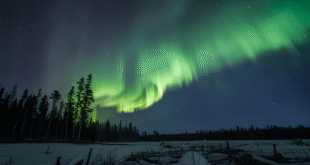 Northern Lights Tonight: Your Guide to the Aurora Borealis Forecast